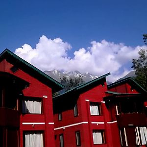 The Pinus Resort